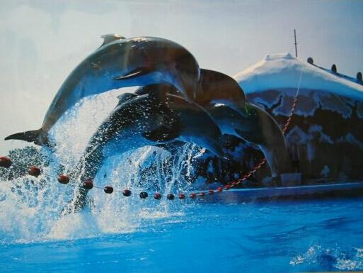 aquapark Tenerife